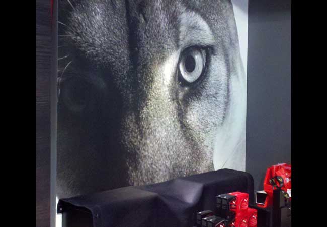 Puma Store signage 